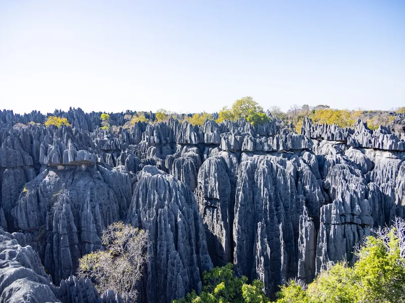 Isalo Canyon Trek