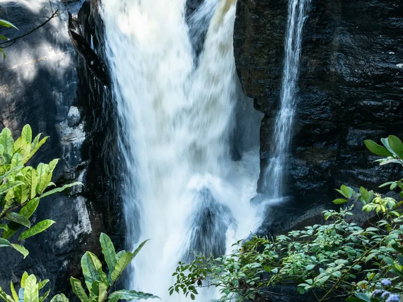 Rainforest Symphony – Andasibe gallery