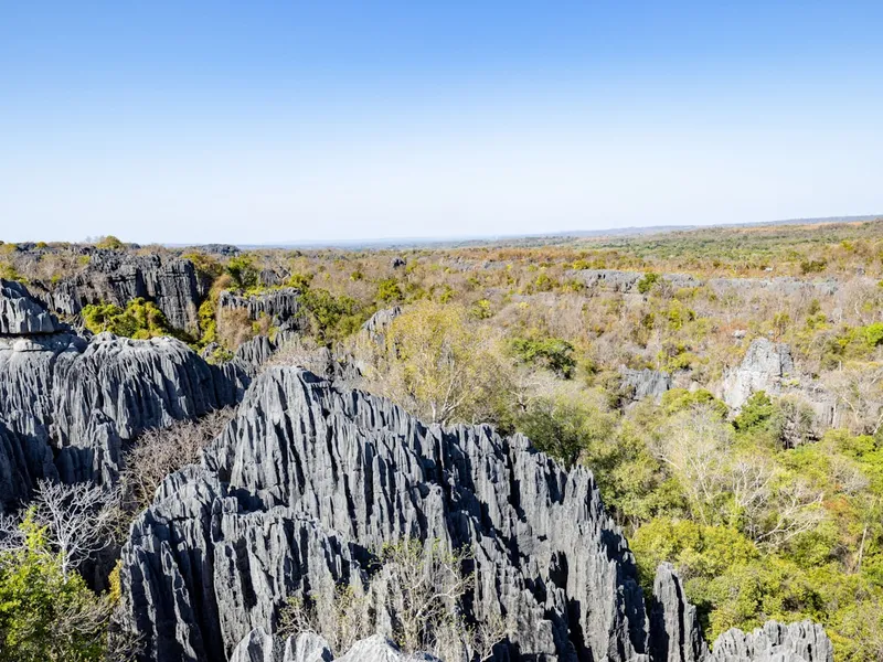 Tsingy de Bemaraha Expedition gallery